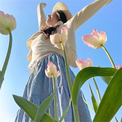 神圣的女人 在线观看